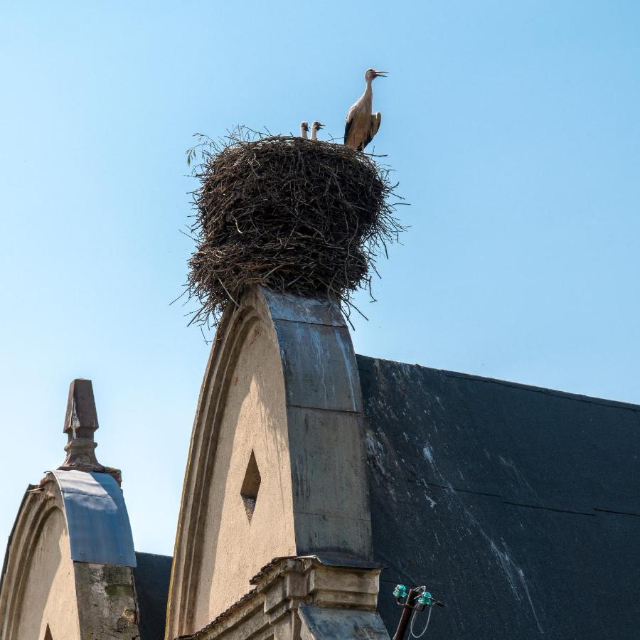 Zamek Sarny - Schloss Scharfeneck Klodzko Luaran gambar