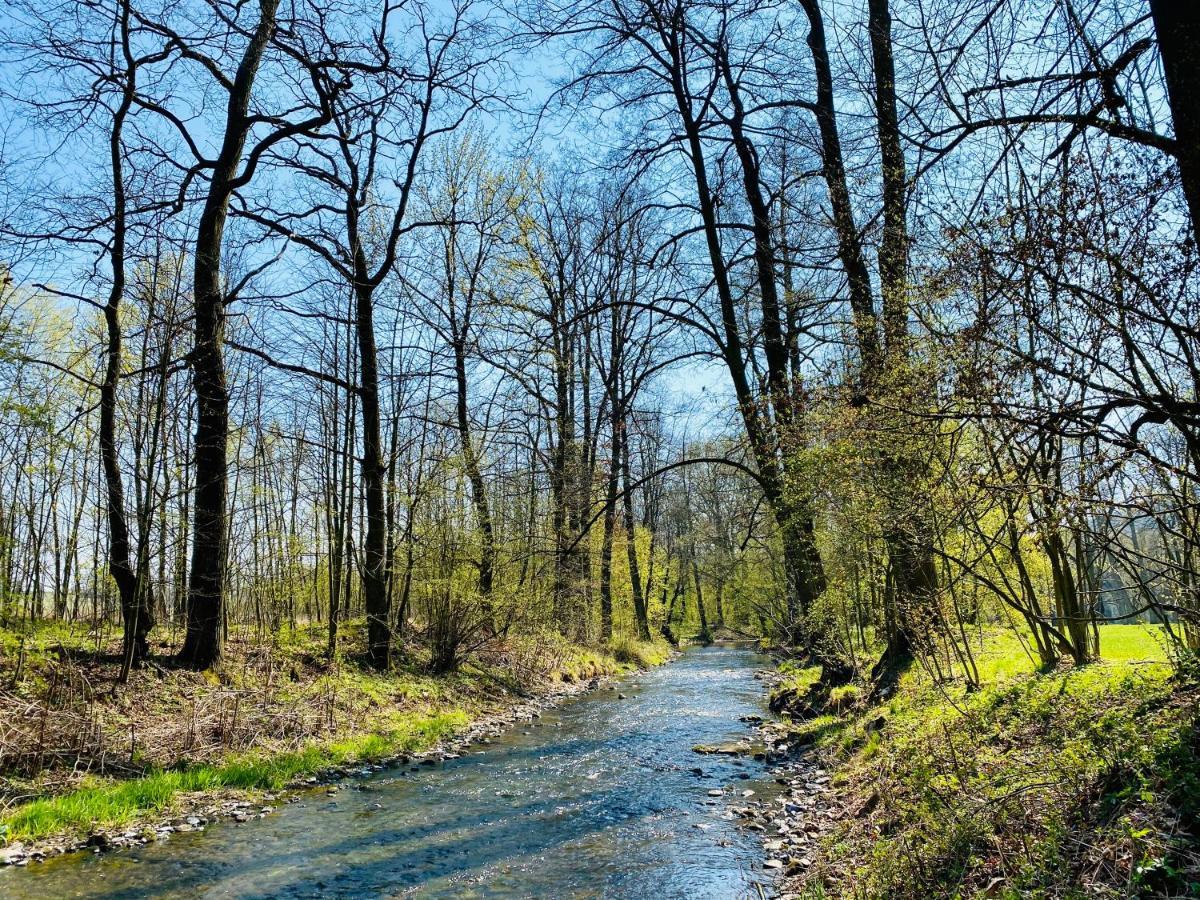 Zamek Sarny - Schloss Scharfeneck Klodzko Luaran gambar